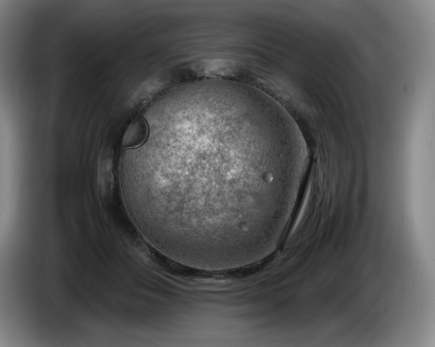 X0000085290506200703091413