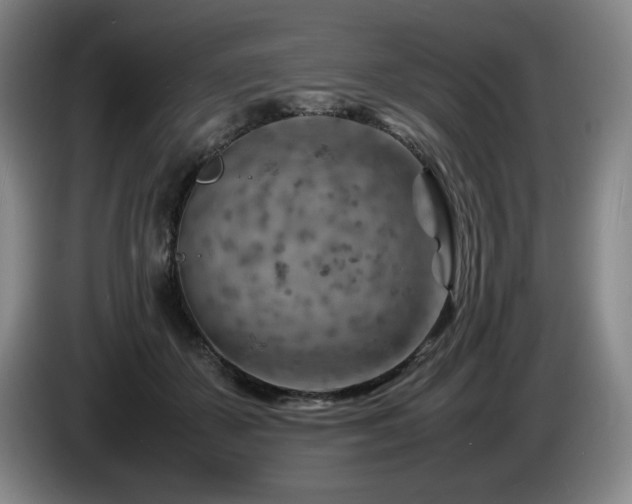 X0000085290507200703091413