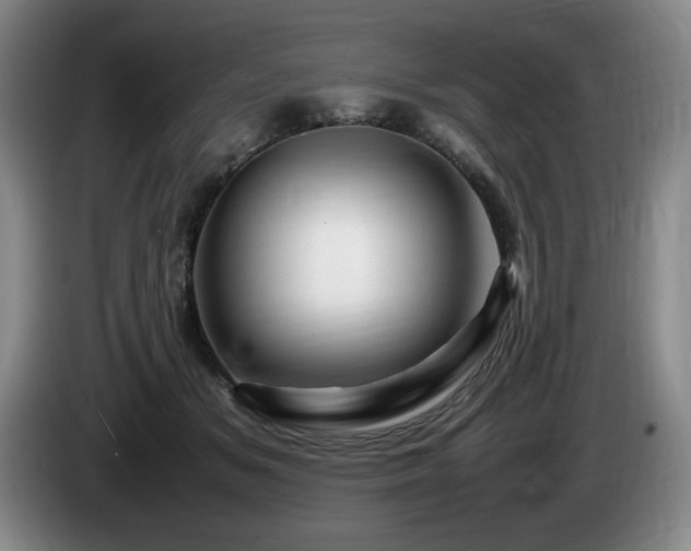 X0000085290509200703091413