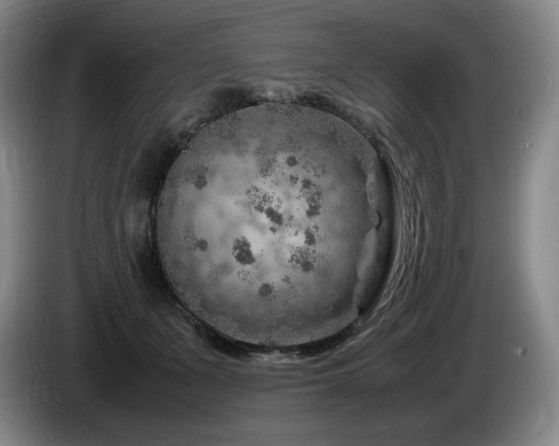 X0000085290511200703091413
