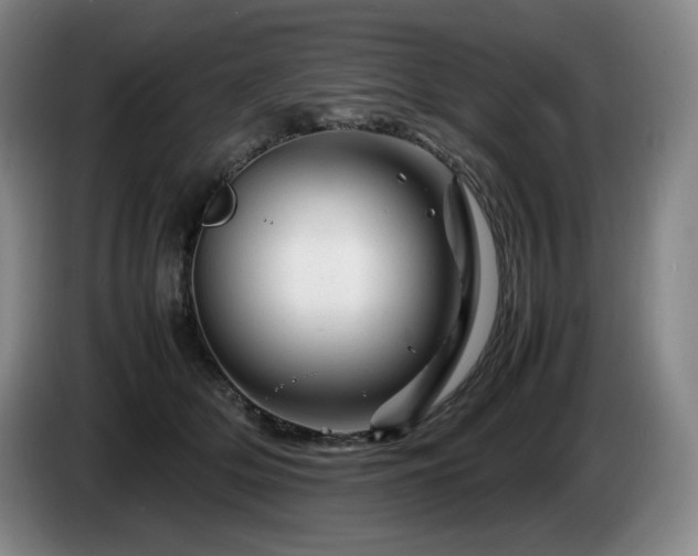 X0000085290514200703091413