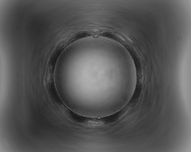 X0000085290515200703091413