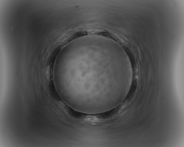 X0000085290519200703091413
