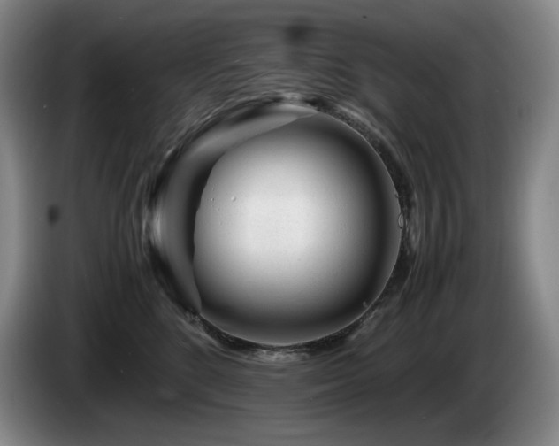 X0000085290520200703091413