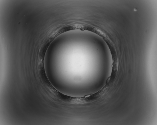 X0000085290521200703091413