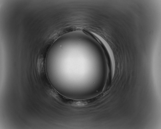 X0000085290522200703091413
