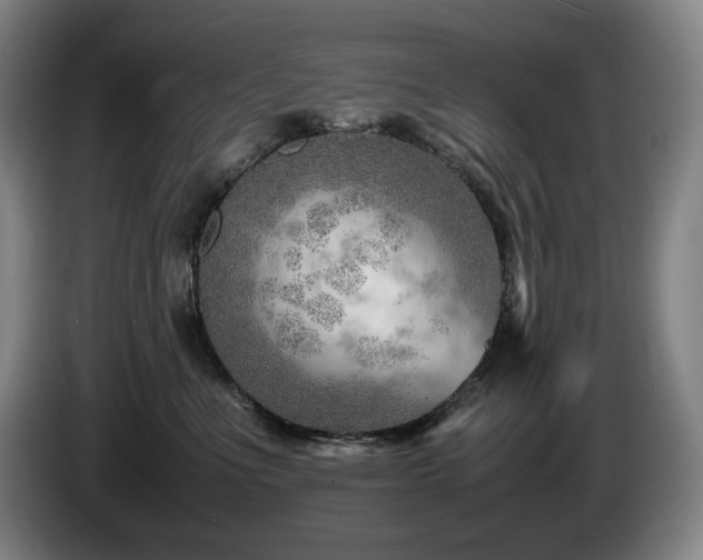 X0000085290523200703091413