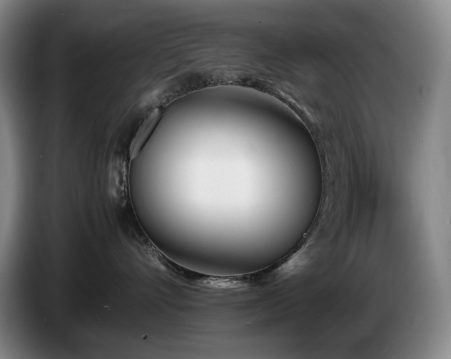 X0000085290528200703091412