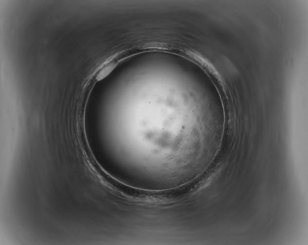 X0000085290529200703091412