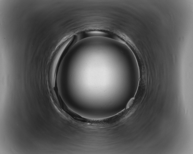 X0000085290530200703091412