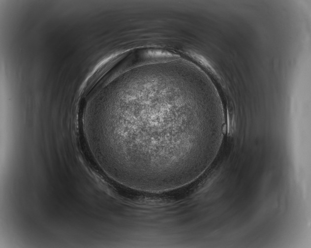X0000085290531200703091412