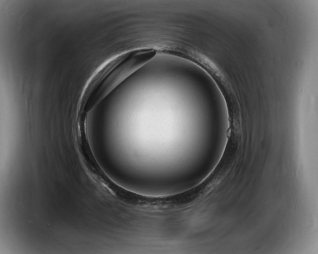 X0000085290532200703091412