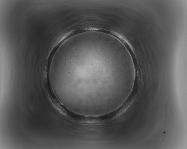 X0000085290533200703091412
