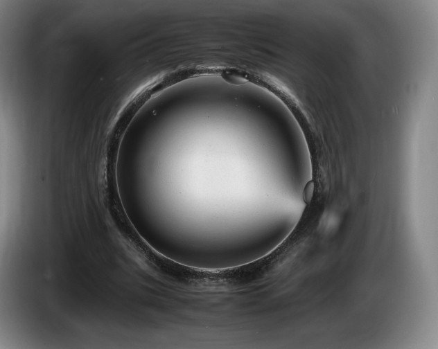 X0000085290535200703091412