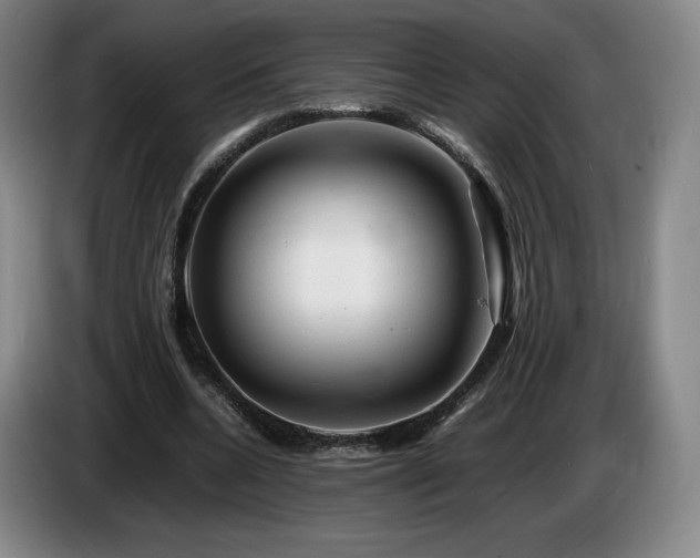 X0000085290536200703091412