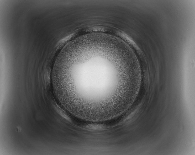 X0000085290537200703091412
