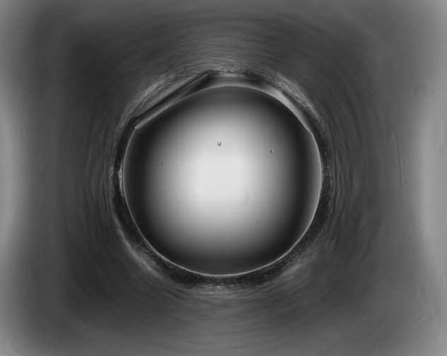 X0000085290538200703091412