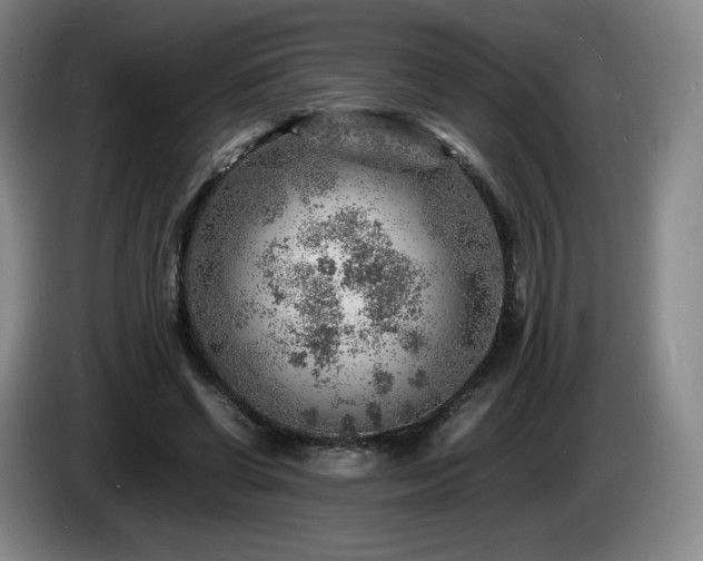 X0000085290542200703091412