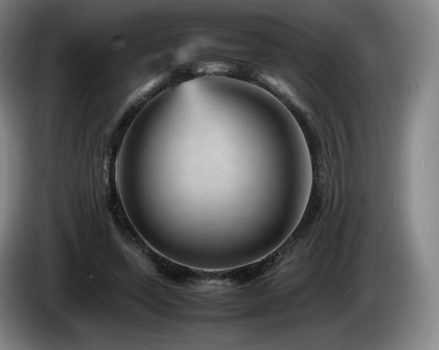X0000085290543200703091412