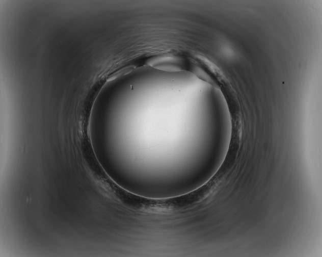 X0000085290546200703091412