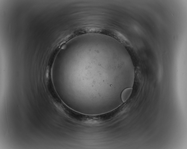 X0000085290550200703091412