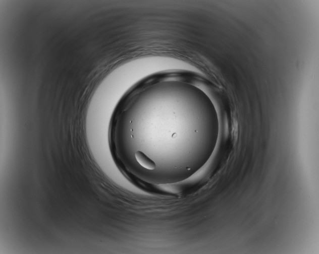 X0000085290552200703091412