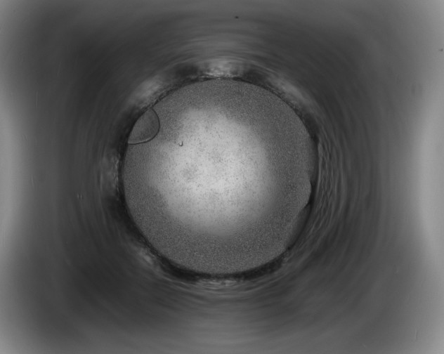 X0000085290554200703091412