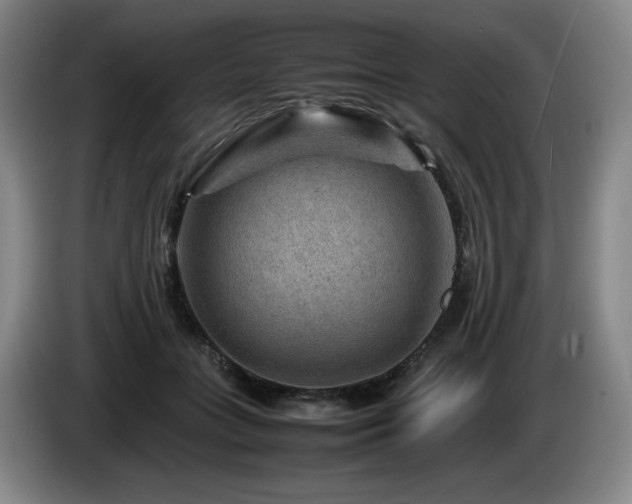X0000085290555200703091412