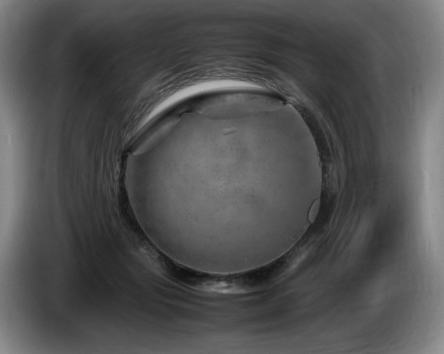 X0000085290557200703091412
