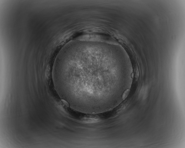 X0000085290559200703091412