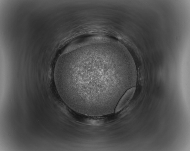 X0000085290563200703091412
