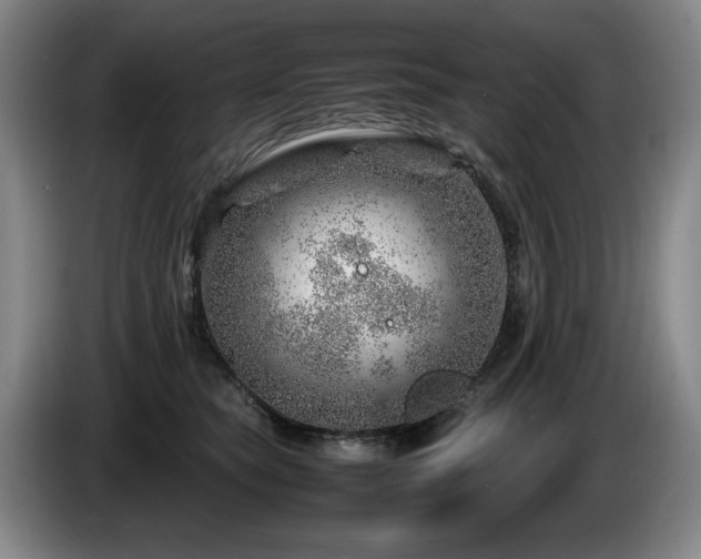 X0000085290565200703091412