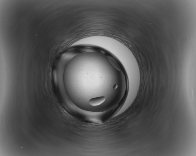 X0000085290570200703091412