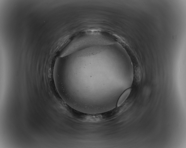 X0000085290571200703091412