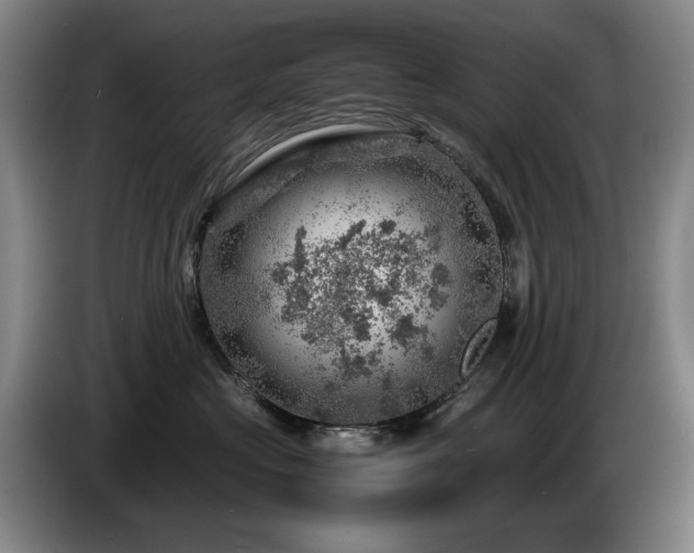 X0000085290573200703091412