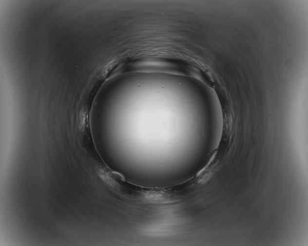 X0000085290574200703091412