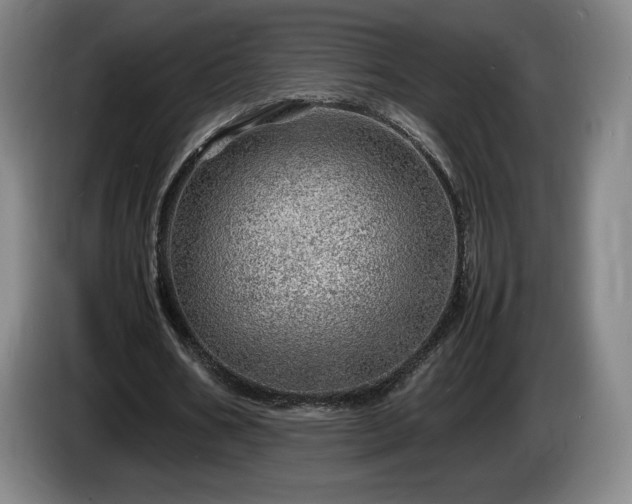X0000085290578200703091412