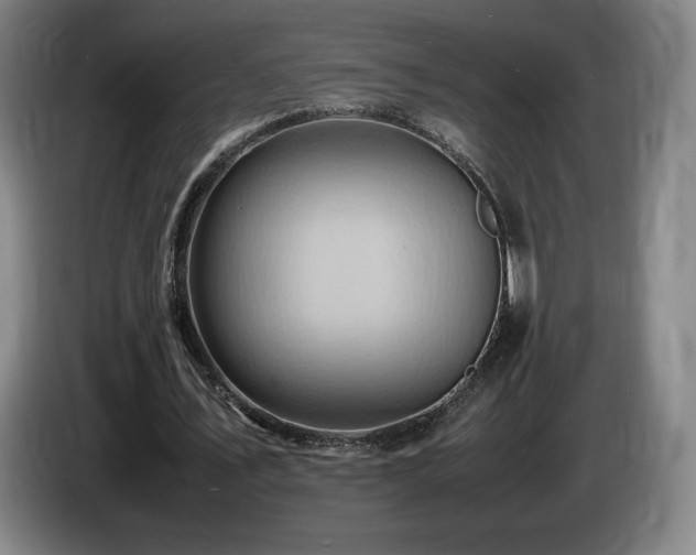 X0000085290579200703091412