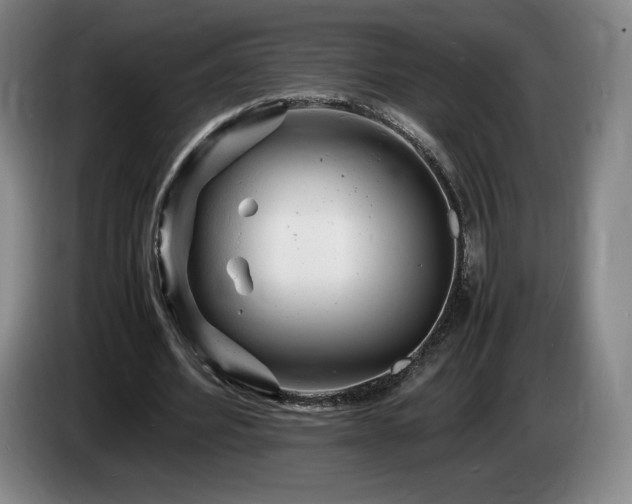 X0000085290580200703091412