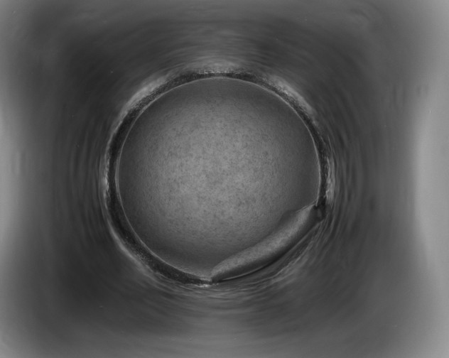 X0000085290582200703091412