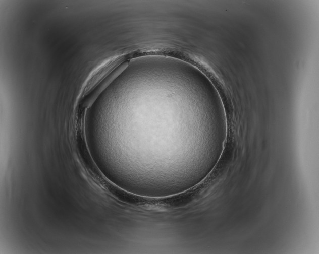 X0000085290583200703091412