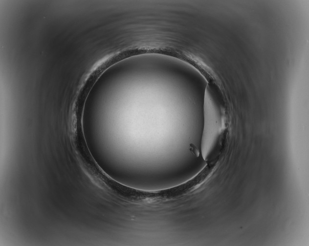 X0000085290584200703091412