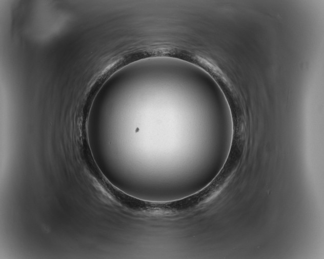 X0000085290585200703091412