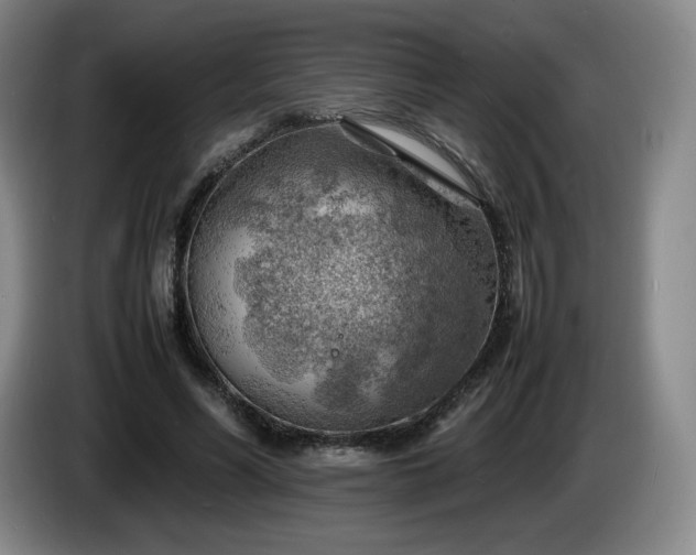 X0000085290590200703091412