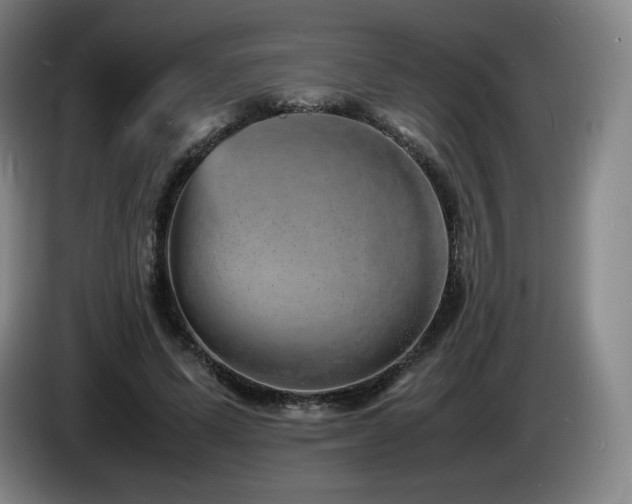 X0000085290591200703091412