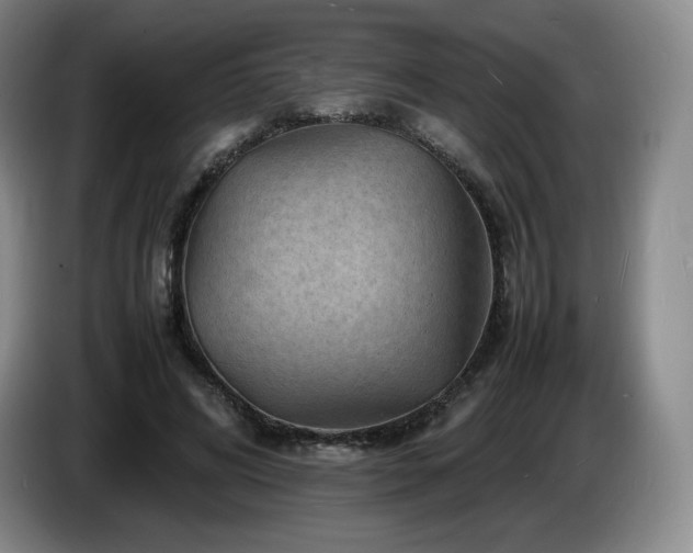 X0000085290592200703091412