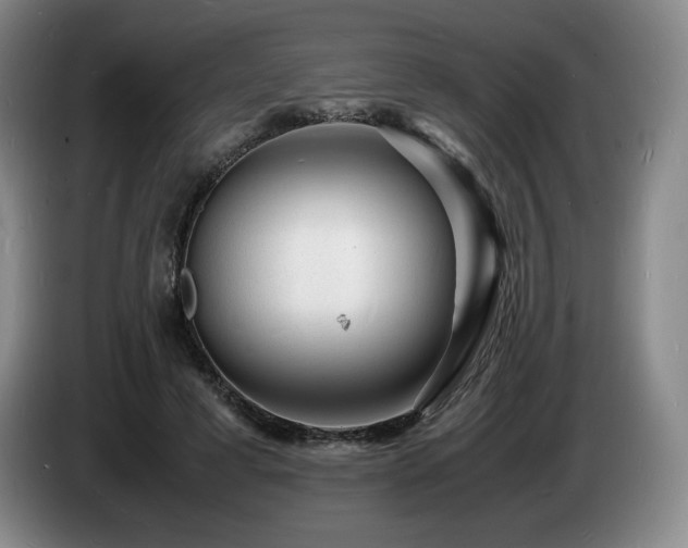 X0000085290593200703091412