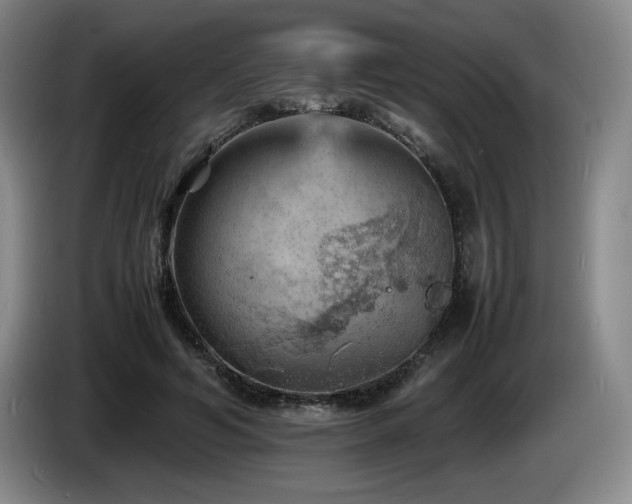 X0000085290594200703091412