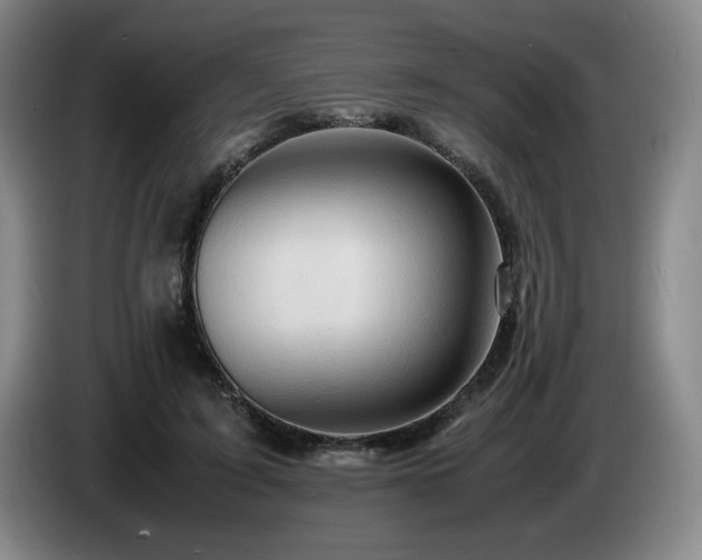 X0000085290595200703091412