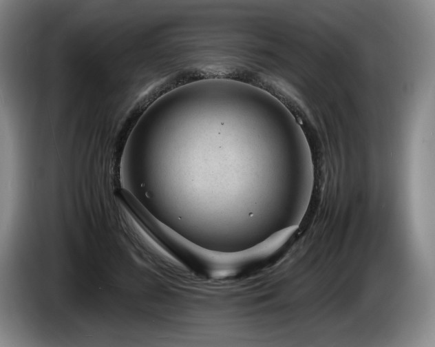 X0000085290596200703091412